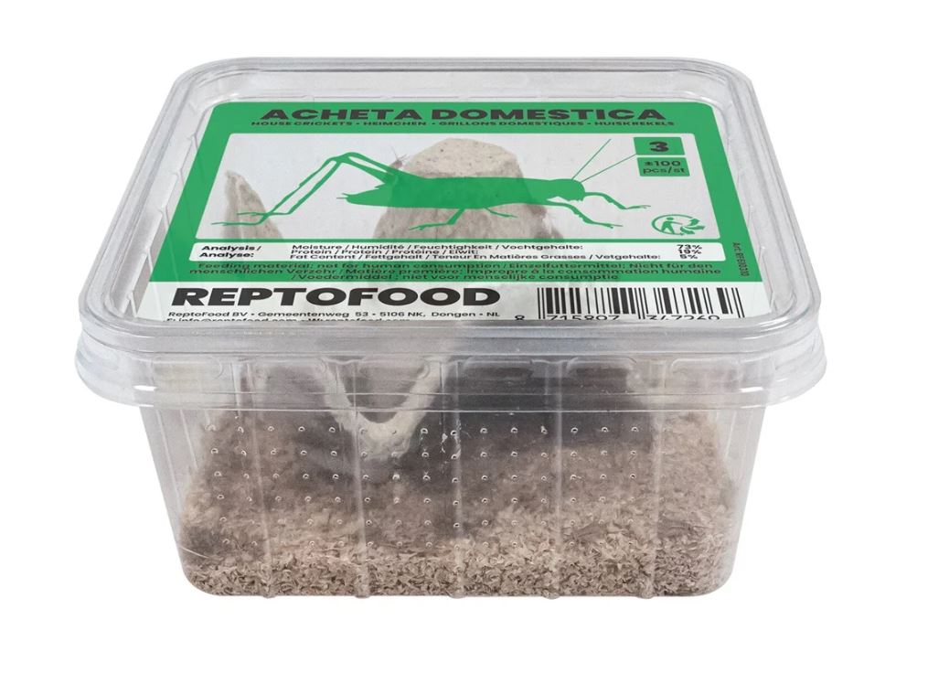 Reptofood Huiskrekels 3 Bakje