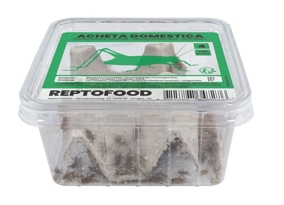 Reptofood Huiskrekels 4 Bakje