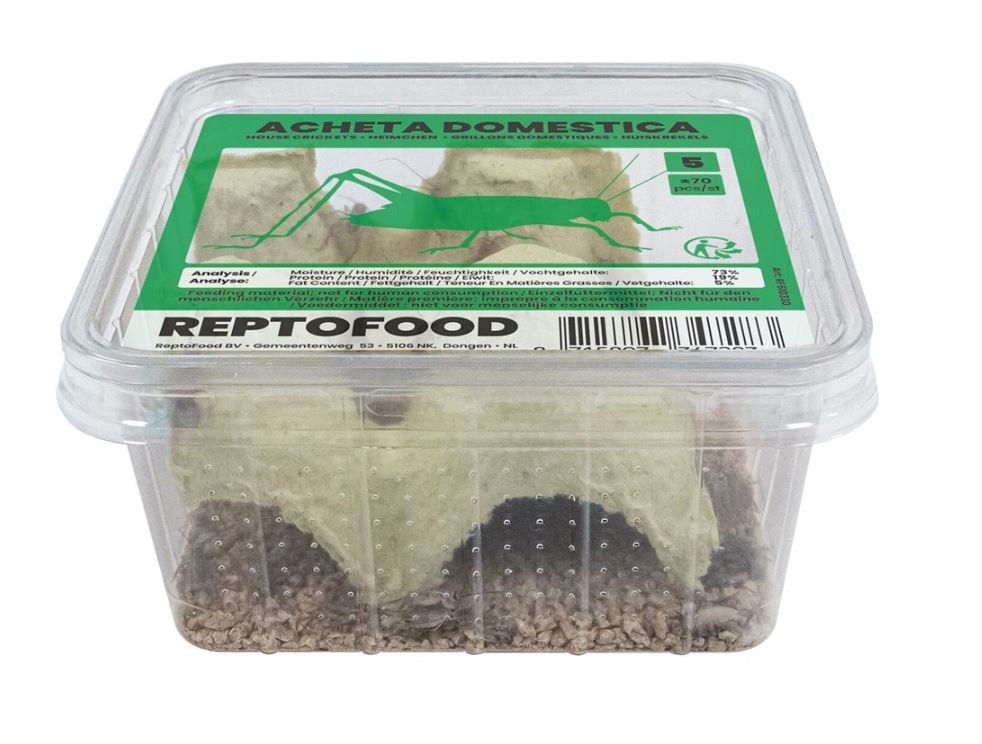 Reptofood Huiskrekels 5 Bakje