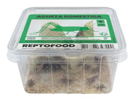 Reptofood Huiskrekels 6 Bakje