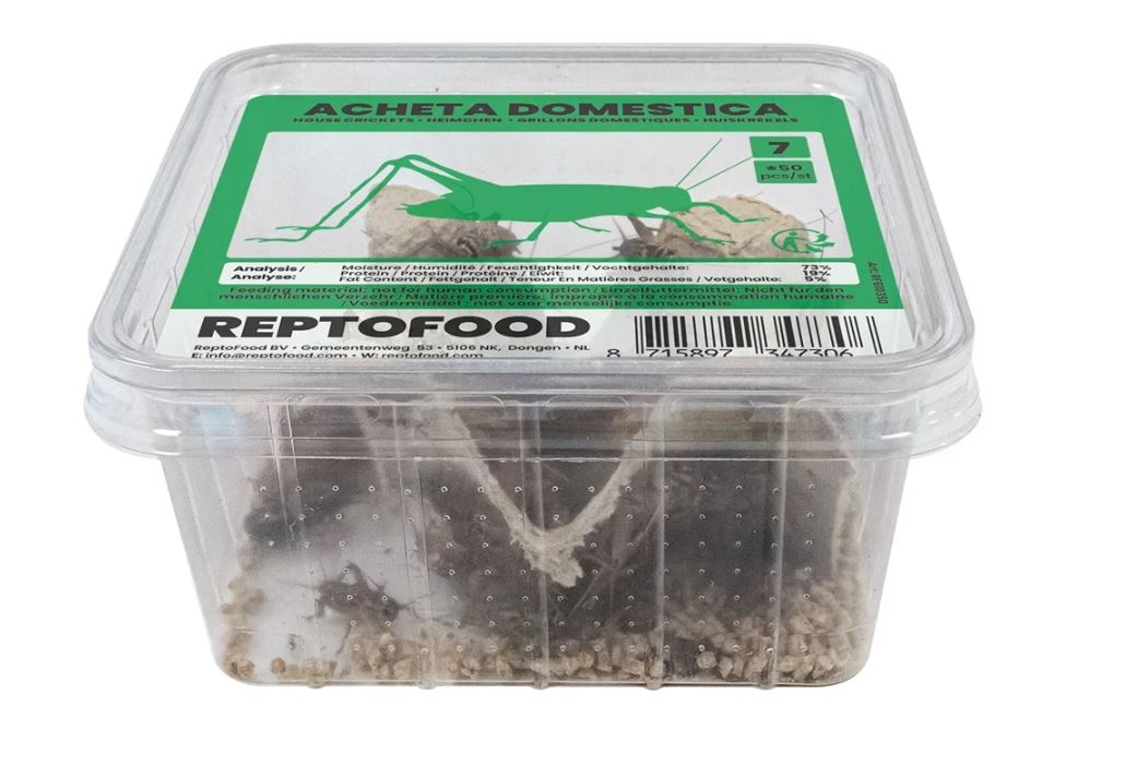 Reptofood Huiskrekels 7 Bakje