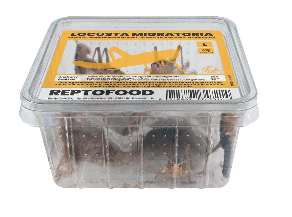 Reptofood Sprinkhanen Halfwas Bakje