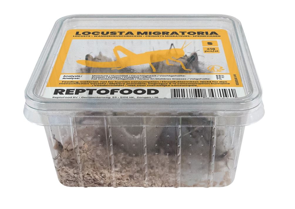 Reptofood Sprinkhanen Klein Bakje