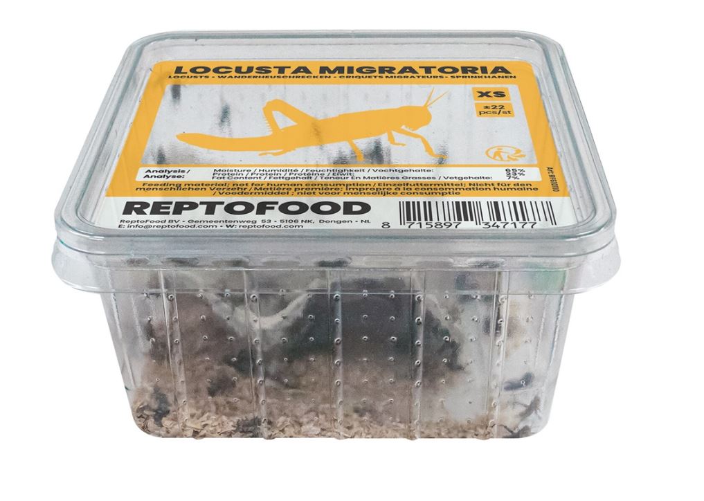 Reptofood Sprinkhanen Mini Bakje