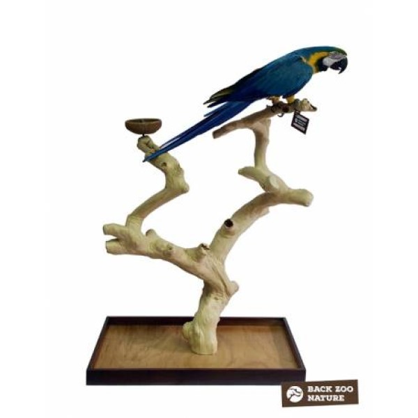 Back Zoo Java Playstand Premium X-Large
