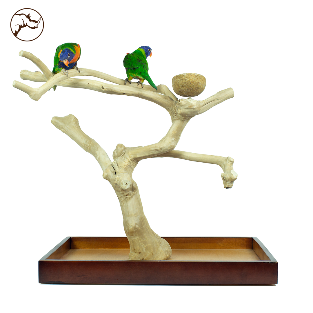Back Zoo Java Playstand Medium