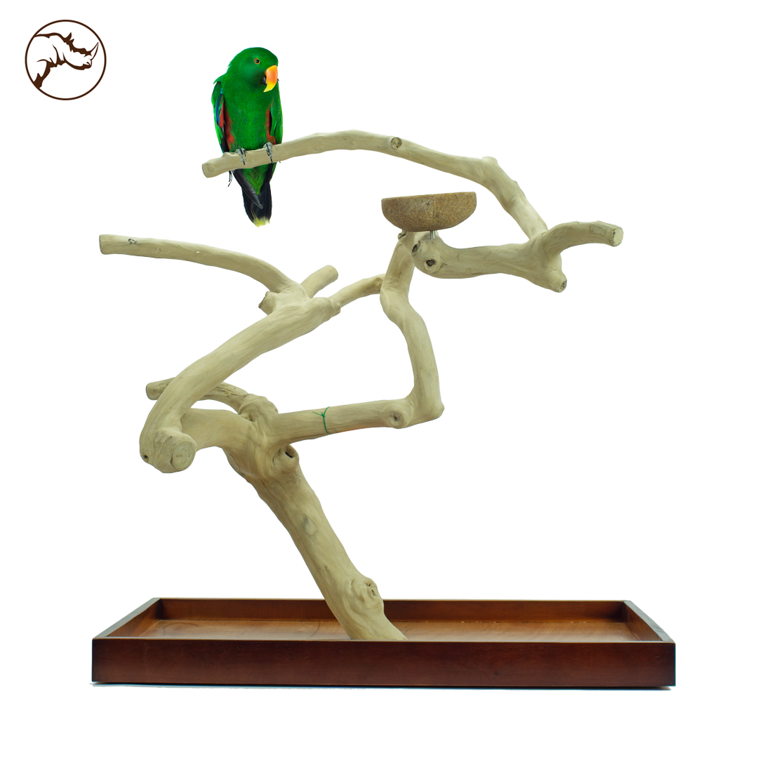 Back Zoo Java Playstand Premium Large