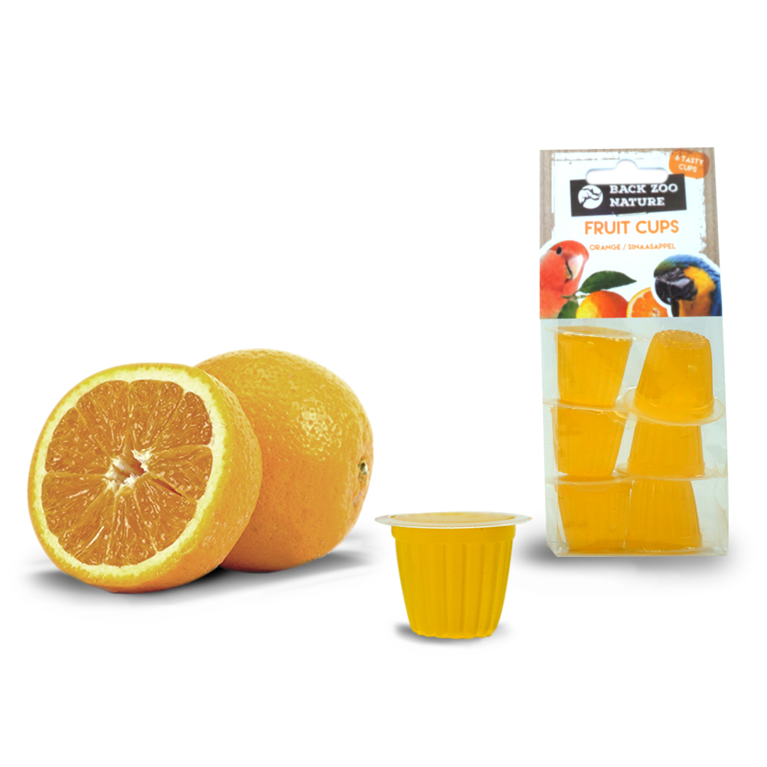 Fruitkuipje Orange (6 Stuks)