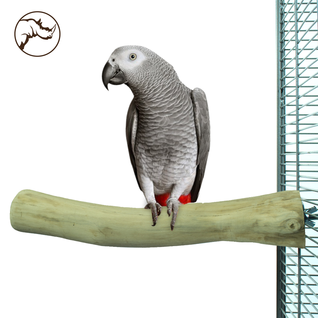 Back Zoo Single Perch Large
