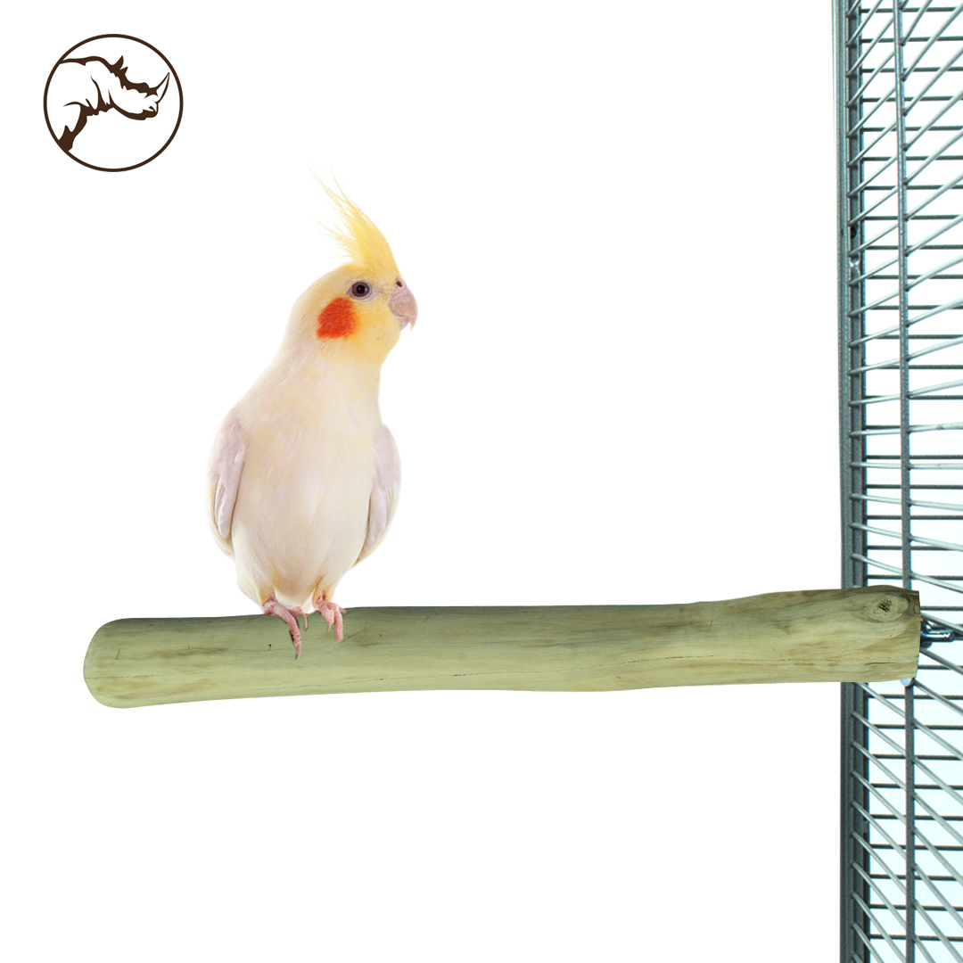 Back Zoo Single Perch Medium