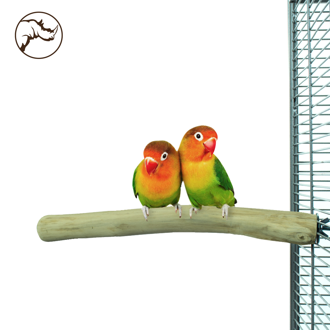 Back Zoo Single Perch Small